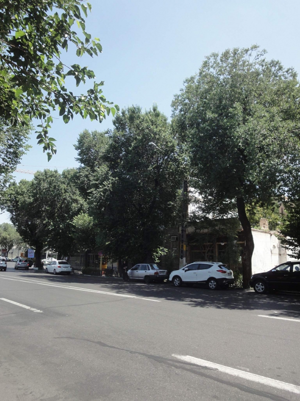 میدان ساعت - شهرداری 